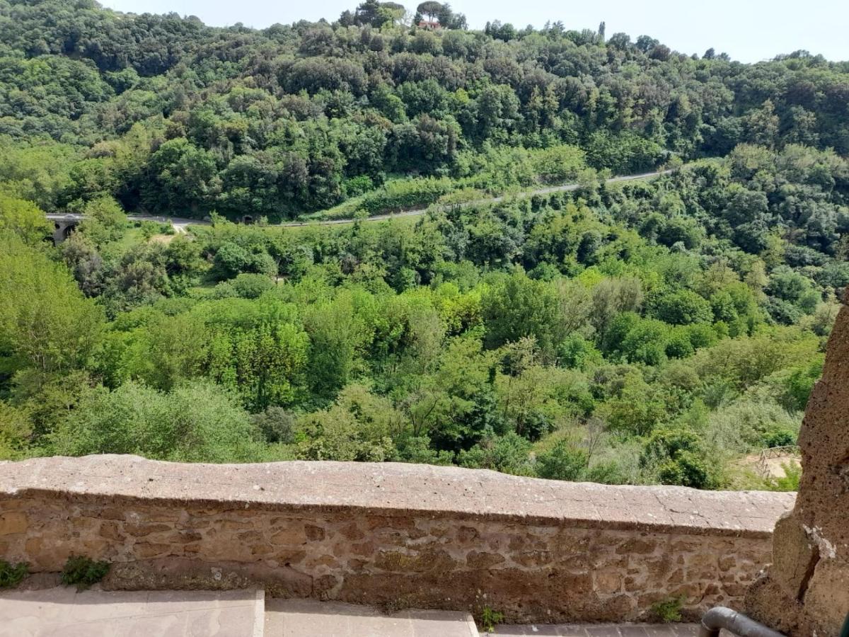 Il Gelsomino Apartment Pitigliano Exterior foto